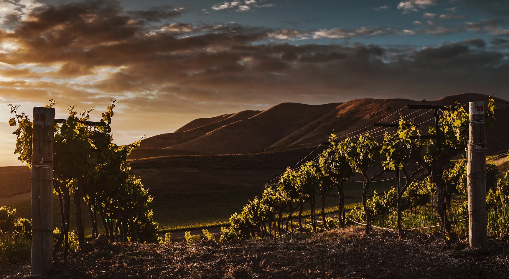Bebu Gmbh Georgische Feinkost, Weine und Getränke Georgiens Wein
