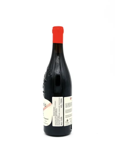 Winiveria Saperavi Qvevri Rotwein trocken 0,75L 13% 3 Winiveria Saperavi Qvevri Rotwein trocken 2019 075L 3