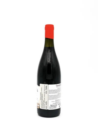 Gurashvili´s Saperavi Qvevri Rotwein trocken 2020 0,75L 13.5% 3 335 Gurashvili´s Saperavi Qvevri Rotwein trocken 075L 14 back2