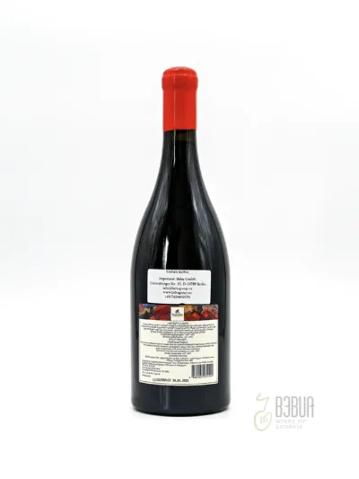 Dugladze Otskhanuri Sapere Rotwein trocken 0,75L 12,5%