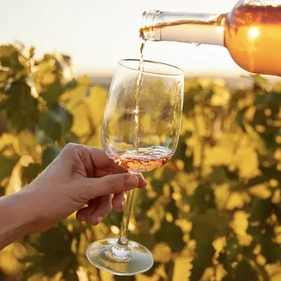 roséweine online bestellen roséweine online bestellen